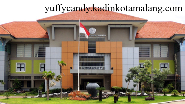 Menelusuri 7 Universitas Unggulan di Kupang